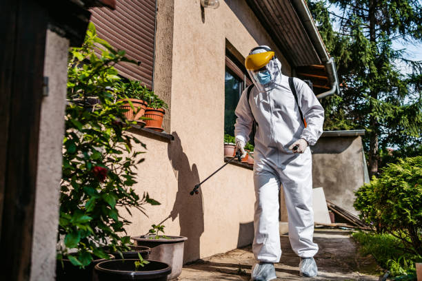 Best Termite Control Services  in Medford, MN
