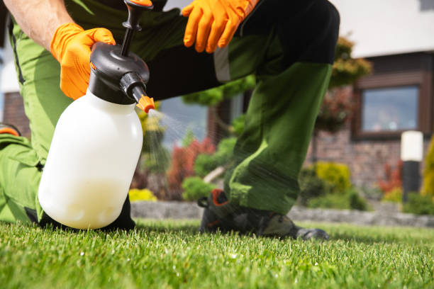 Best Local Pest Control Services  in Medford, MN