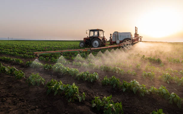 Best Commercial Pest Control Services  in Medford, MN