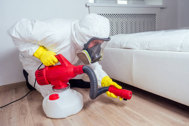 Best Wasp Removal Services  in Medford, MN