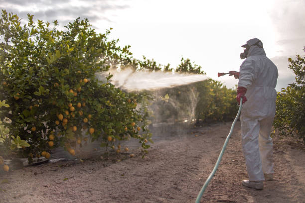 Best Best Pest Control Companies  in Medford, MN