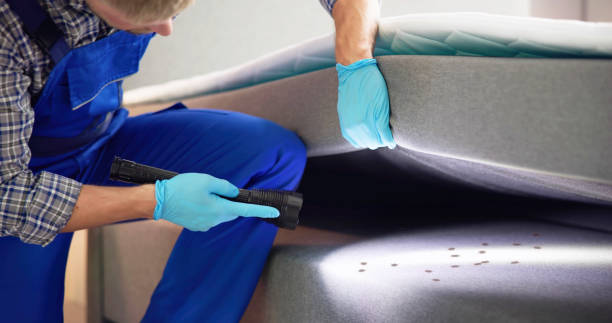 Best Flea Control Services  in Medford, MN