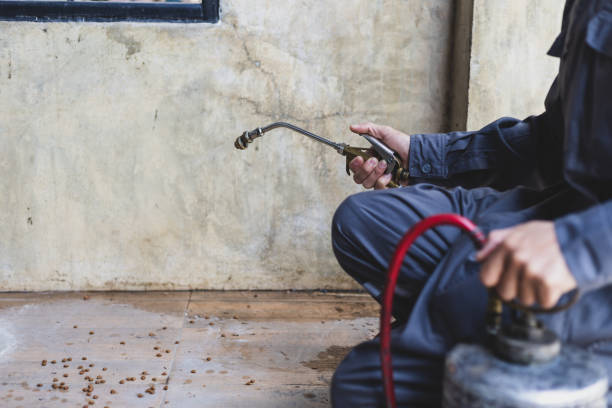 Best Mosquito Control Services  in Medford, MN