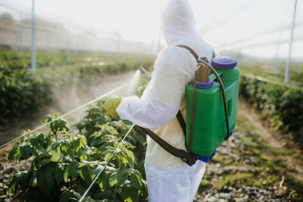 Best Bed Bug Extermination  in Medford, MN
